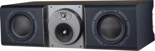 Buy Bowers-Wilkins CT8-CC center channel speaker Online in India at ...